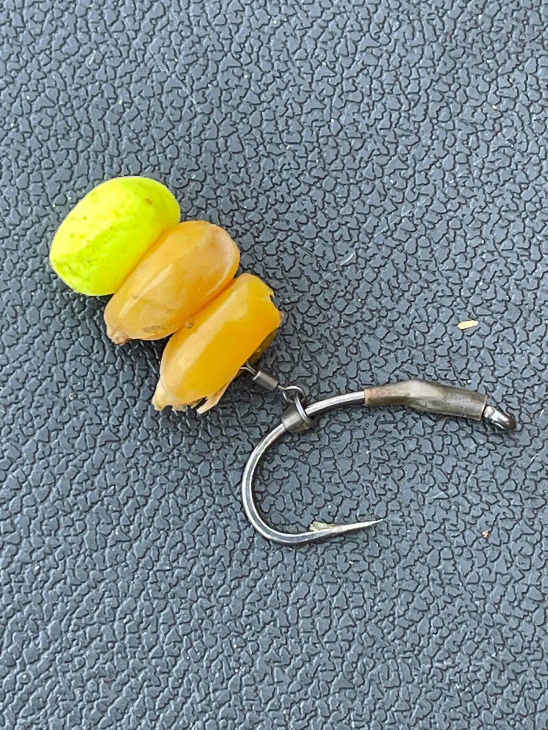 Corn on the hook, fishing bait. close-up. Boiled corn on carp